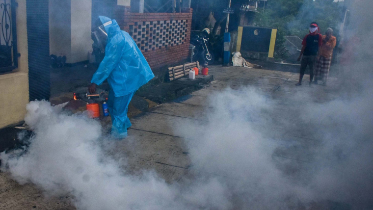 Peru declares a state of health emergency in response to “dengue fever”