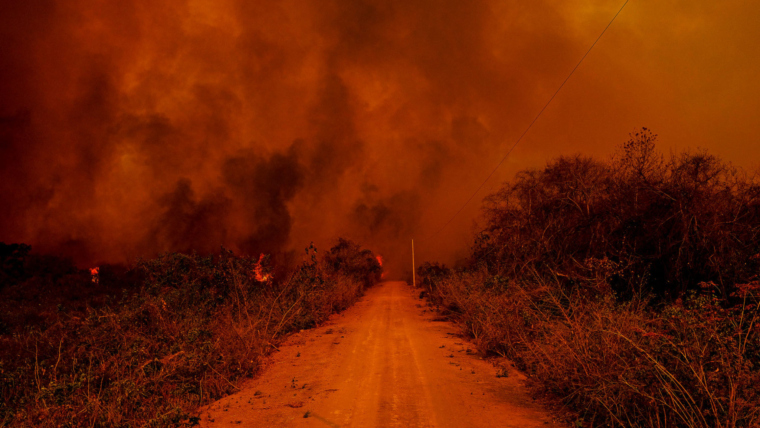 Brazil declares state of emergency over out-of-control fires