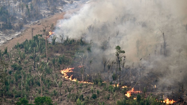 Brazil declares state of emergency to fight fires