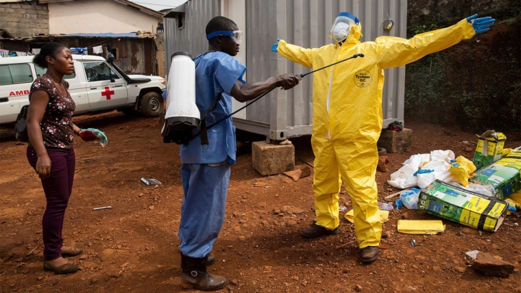 Rwanda reports eight deaths linked to the Marburg virus