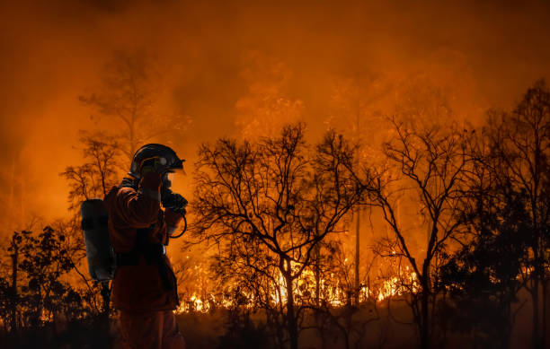 Forest fires in Colombia spread to seven departments