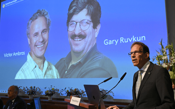 US duo Victor Ambros and Gary Ruvkun win Nobel Medicine for microRNA molecules discovery