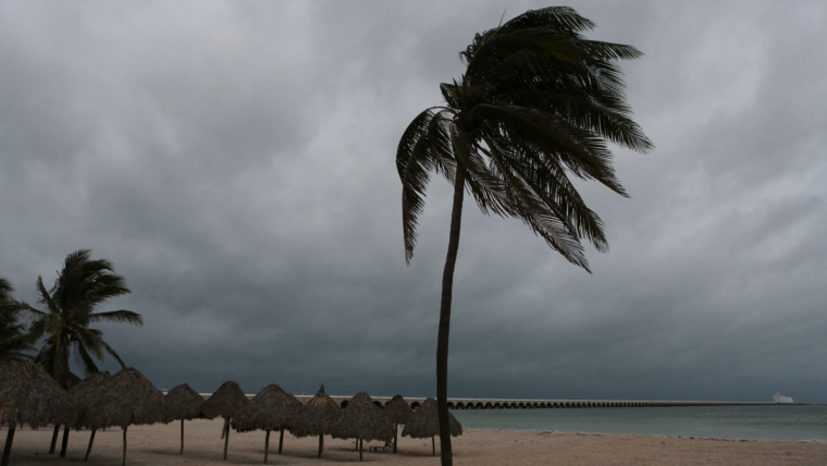 Florida: Three million lose power and mains water cut after Hurricane Milton