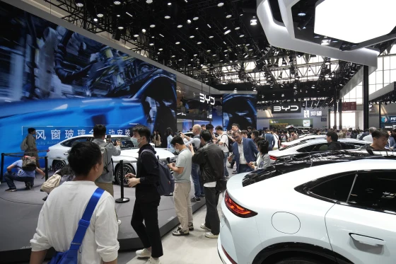 China: New energy passenger car sales rise in October