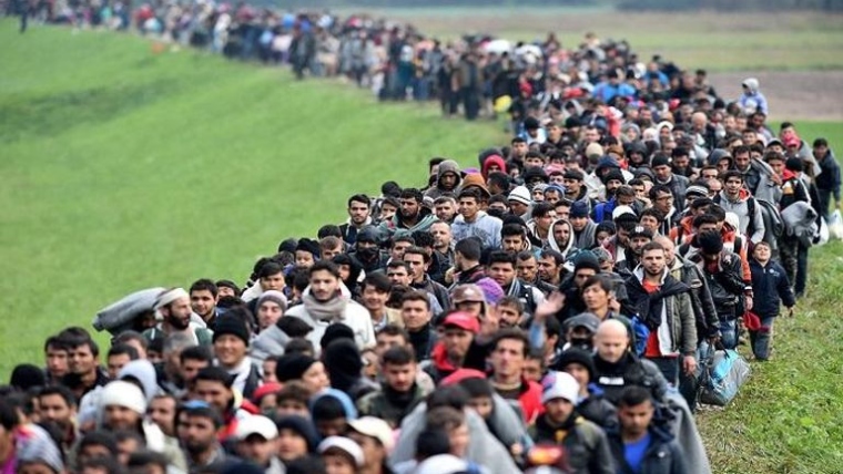 OECD: Global Migration Reaches Record 6.5 Million in 2023