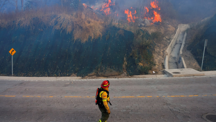 Ecuador declares 60-day state of emergency due to forest fires and drought