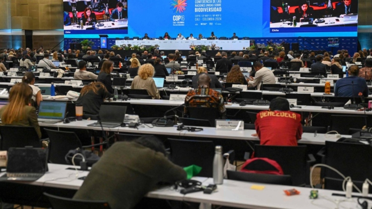 Colombia: COP16 decides to establish permanent indigenous body