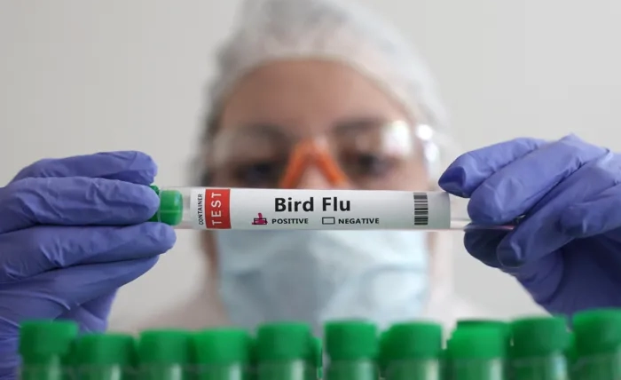 Canada Detects First Suspected Case of H5 Avian Influenza