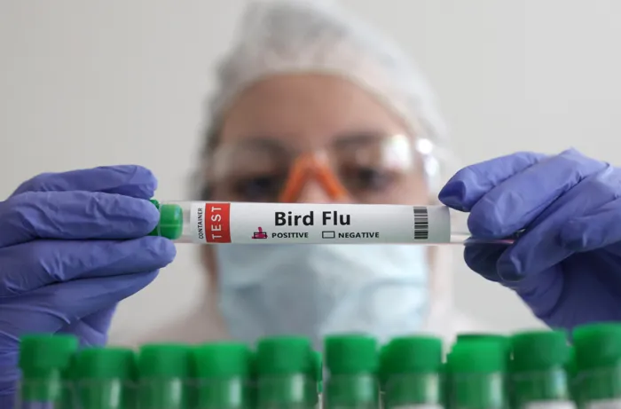 Canada Detects First Suspected Case of H5 Avian Influenza