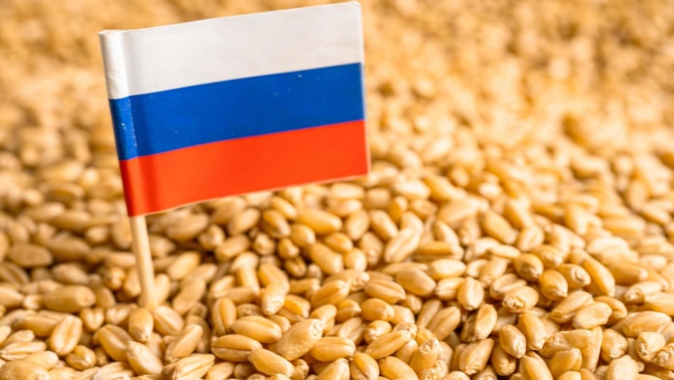 Russia Achieves Self-Sufficiency in Grains and Accounts for a Quarter of Global Wheat Exports