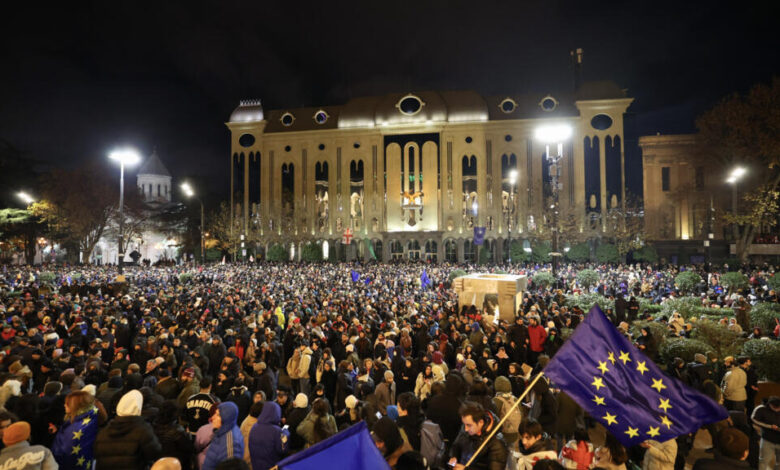 Georgia: 48 People Arrested in EU-Supporting Protests