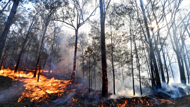 Australia: Wildfires in Victoria Continue to Ravage Land and Trigger Evacuation Orders