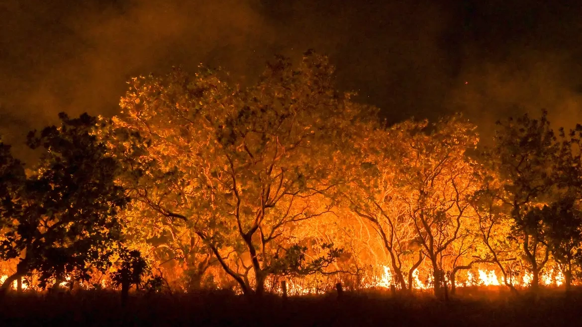 Fire burns 29.7 mln hectares in Brazil this year