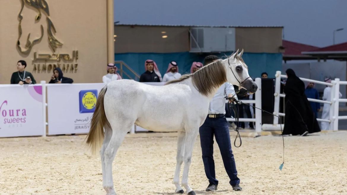 The 7th International Arabian Horse Show kicks off in Riyadh