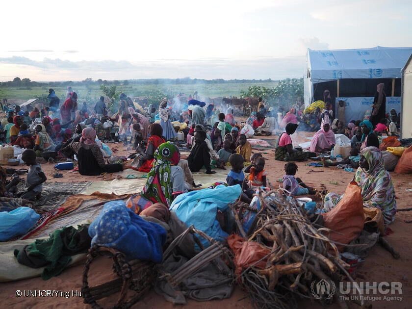 Chad Welcomes Over 700,000 Sudanese Refugees in Largest Refugee Wave in Its History