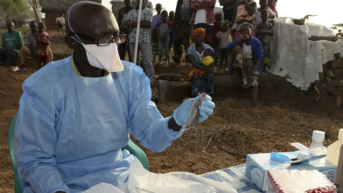 Nigeria:190 people died of Lassa fever in 2024