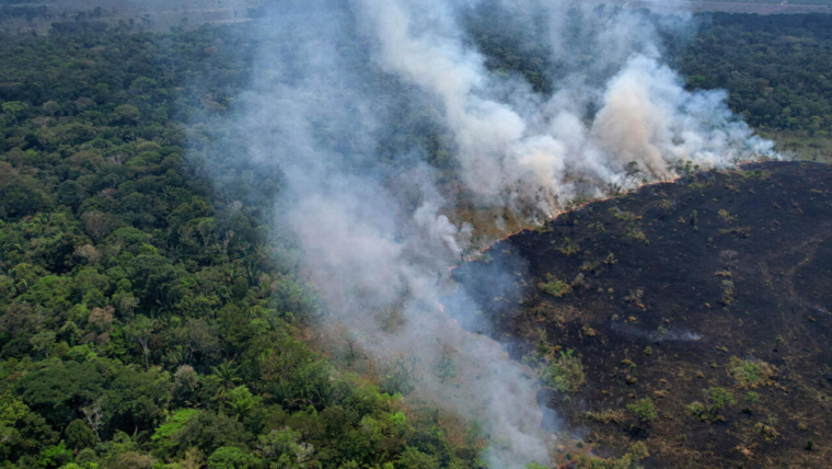 Brazil: Amazon forest records highest number of fires in 17 years