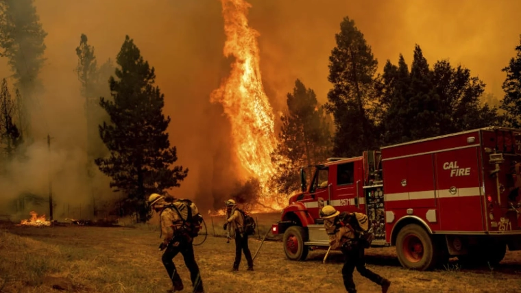 USA: Search Teams Intensify Efforts to Find Missing People in California Wildfires