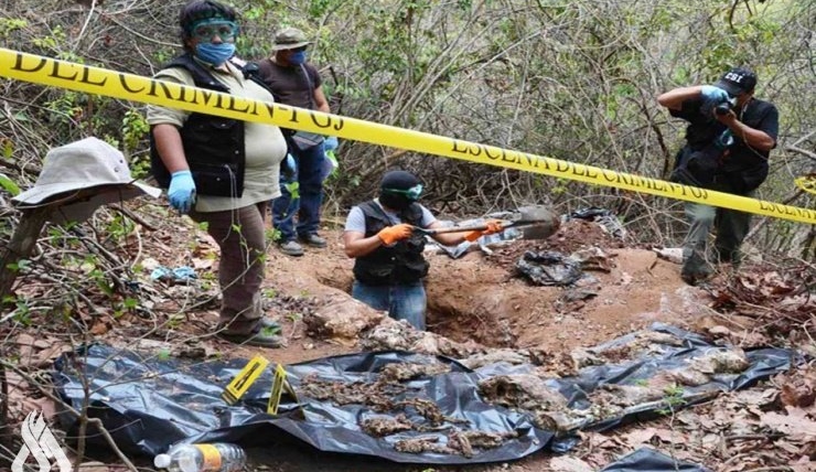 Mexico: 24 bodies found in mass grave