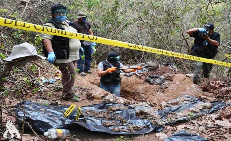 Mexico: 24 bodies found in mass grave