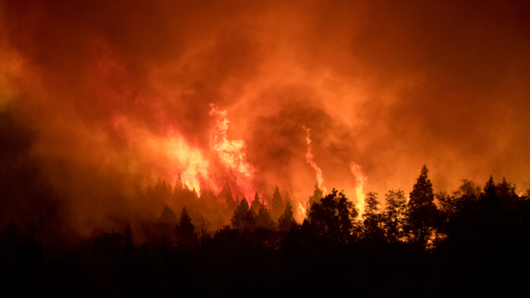 Wildfires Destroy 3,000 Hectares in Patagonia, Argentina, Leading to Evacuation of El Bolsón