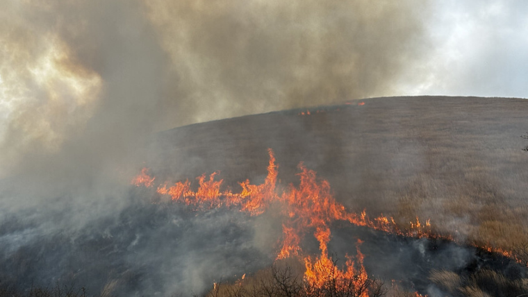 Japan Considers Declaring Disaster Status as Wildfires Rage for the Eighth Consecutive Day