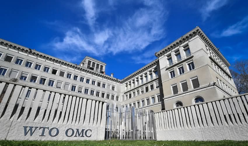 WTO Warns Trump’s Tariff Policy Could Reduce Global Trade by 1.5%