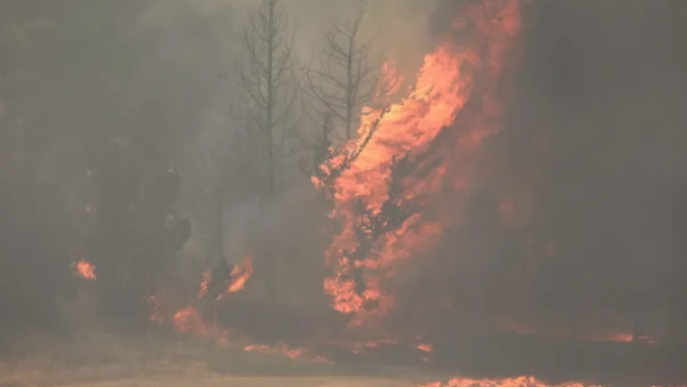 Israeli Authorities Struggle to Contain Jerusalem Wildfires Amid Estimated Multi-Million Dollar Damages