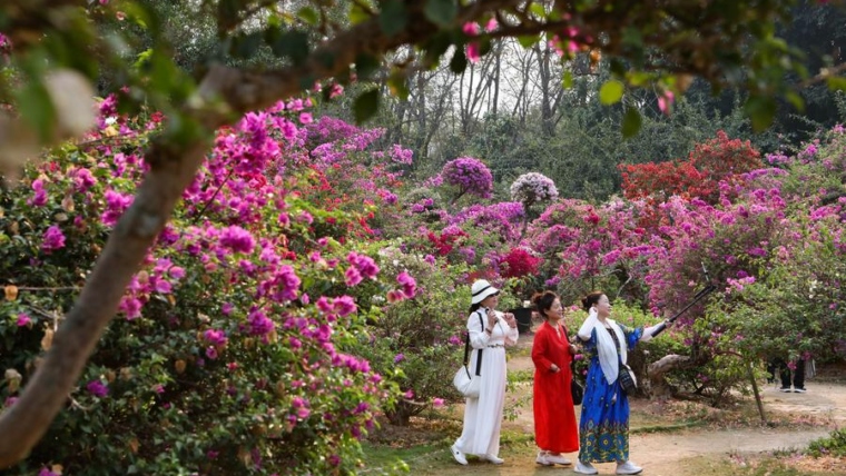 China Launches First Digital Platform to Document Tropical Biodiversity