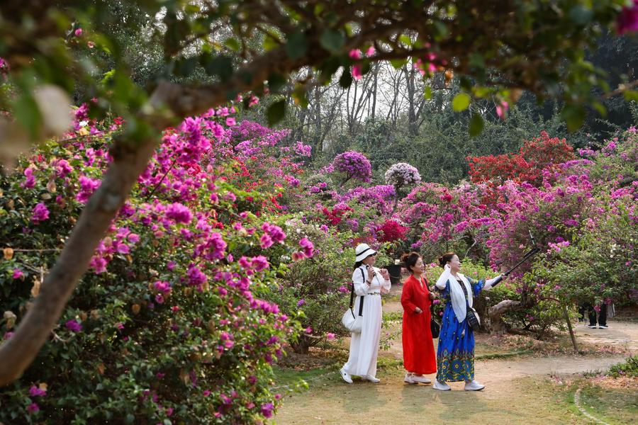 China Launches First Digital Platform to Document Tropical Biodiversity